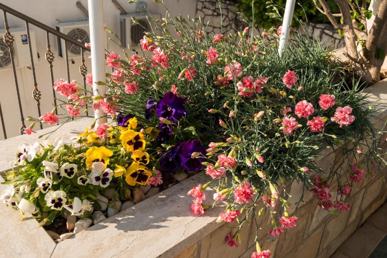 Apartments Tamaris نيوم المظهر الخارجي الصورة